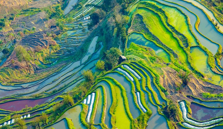 走进兴山区TVC拍摄：解锁本地化场景与创意镜头的完美融合